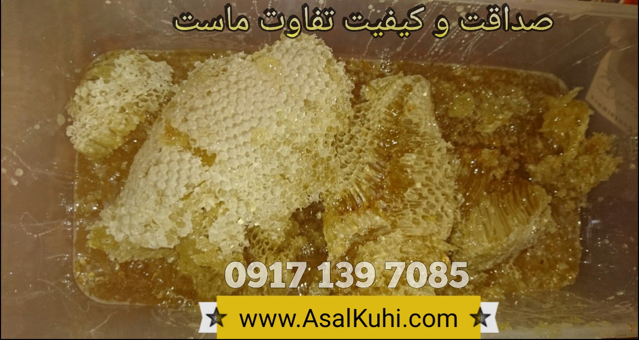 فروش عسل وحشی در تهران